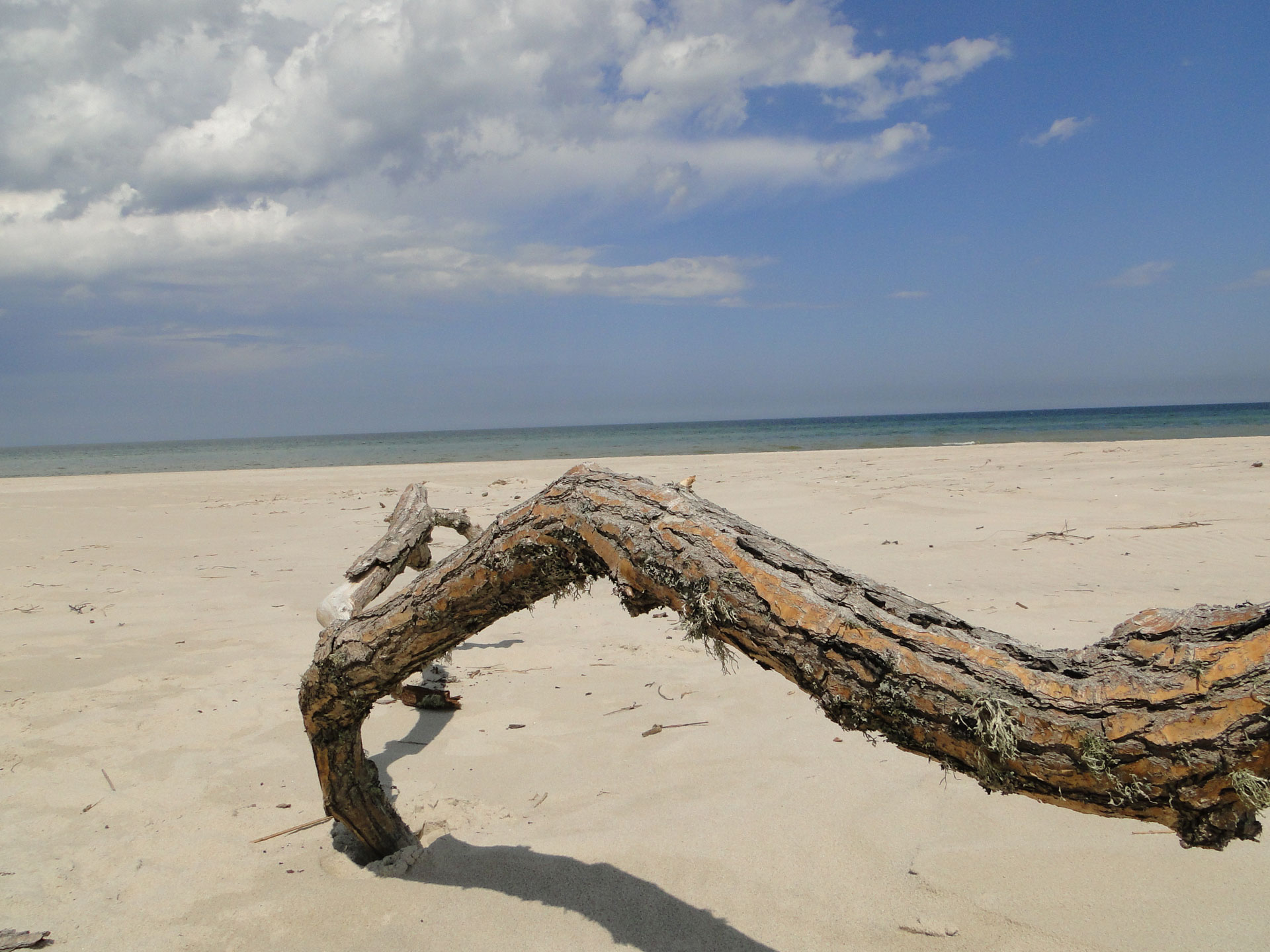 Pokoje gościnne: Karwieńskie Błota II, ul. Wczasowa 155A